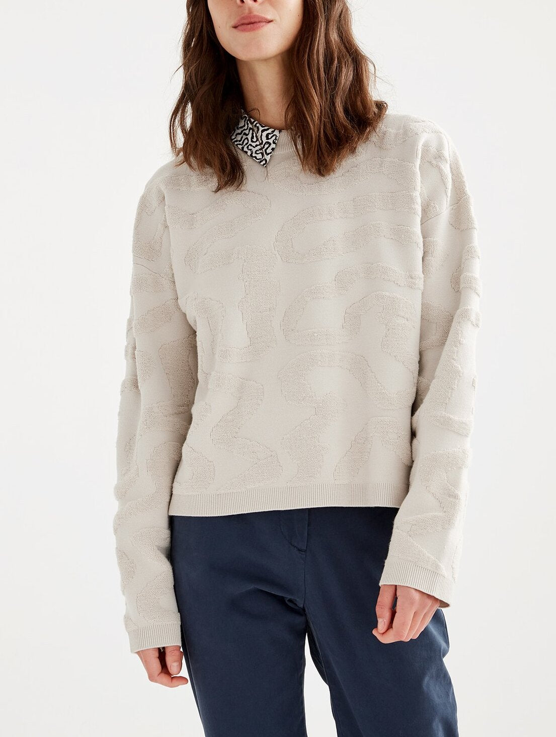 Pull col rond jacquard Aigle