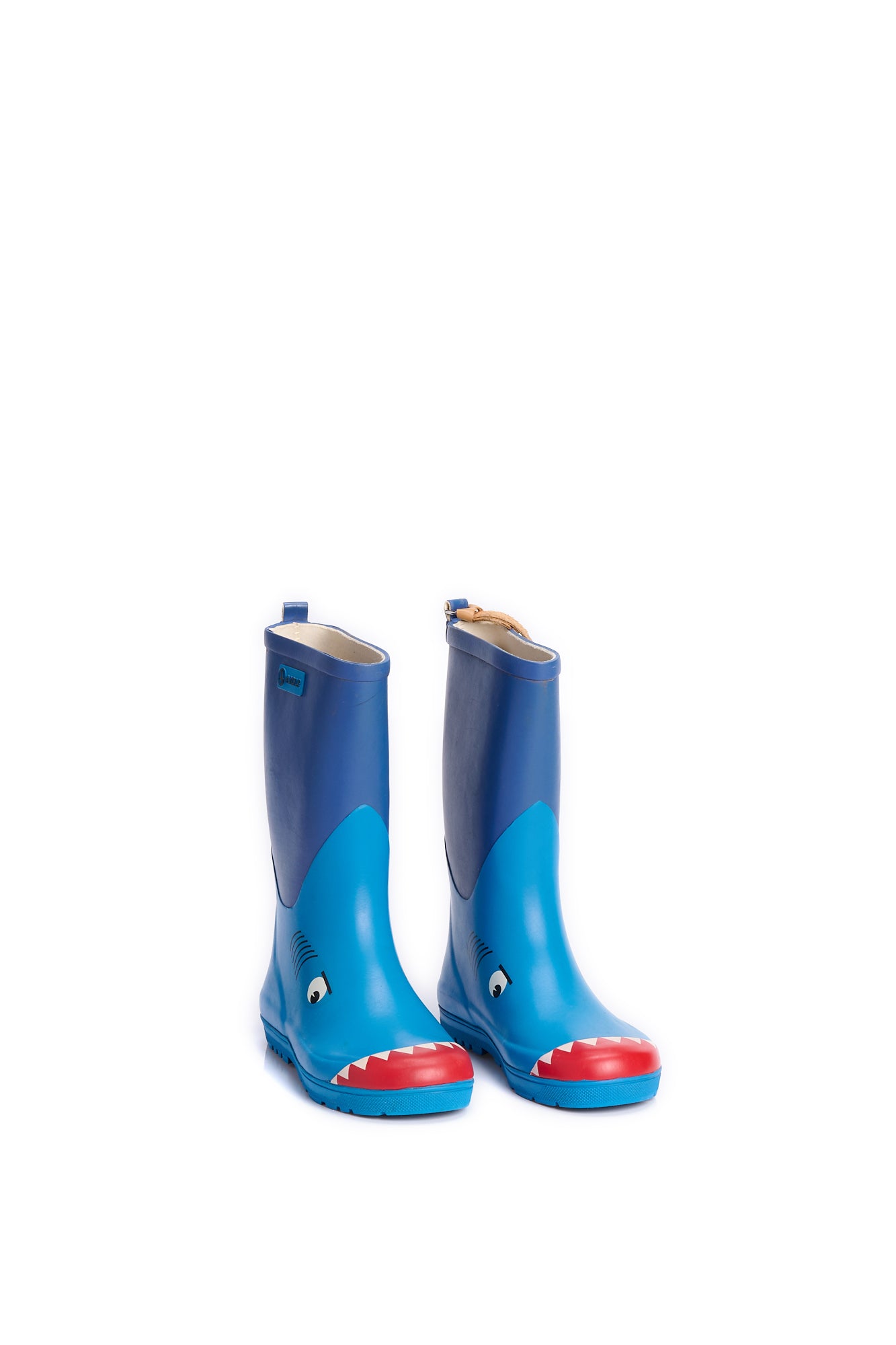 Bottes - 33 Aigle